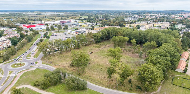 Znikają drzewa przy Koszalińskiej. Tu powstanie nowe osiedle [WIDEODRON] - 49424