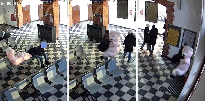 Co za akcja! Porwał wielkiego różowego misia. Został schwytany po pościgu - 50898