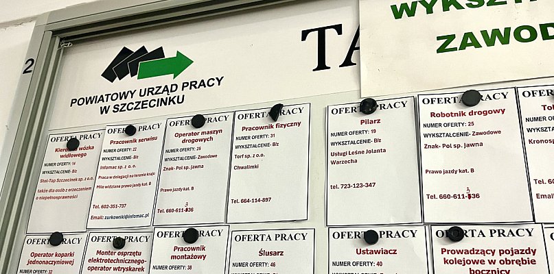 Końcówka roku z dużą liczbą ofert pracy. Sprawdź aktualne ogłoszenia - 51709