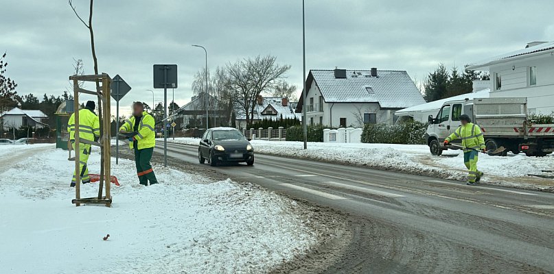 Akcja zima w Szczecinku. PGK pracuje na pełnych obrotach - 51970