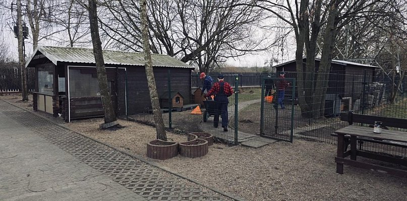 Nie tylko kara. W Szczecinku więźniowie pomagają zwierzętom