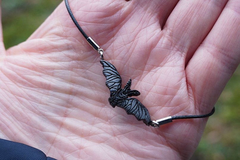 Edukacja w lesie: dzieci i dorośli o nietoperzach