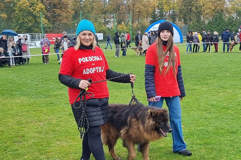 Tak wyglądała wystawa psów w Szczecinku