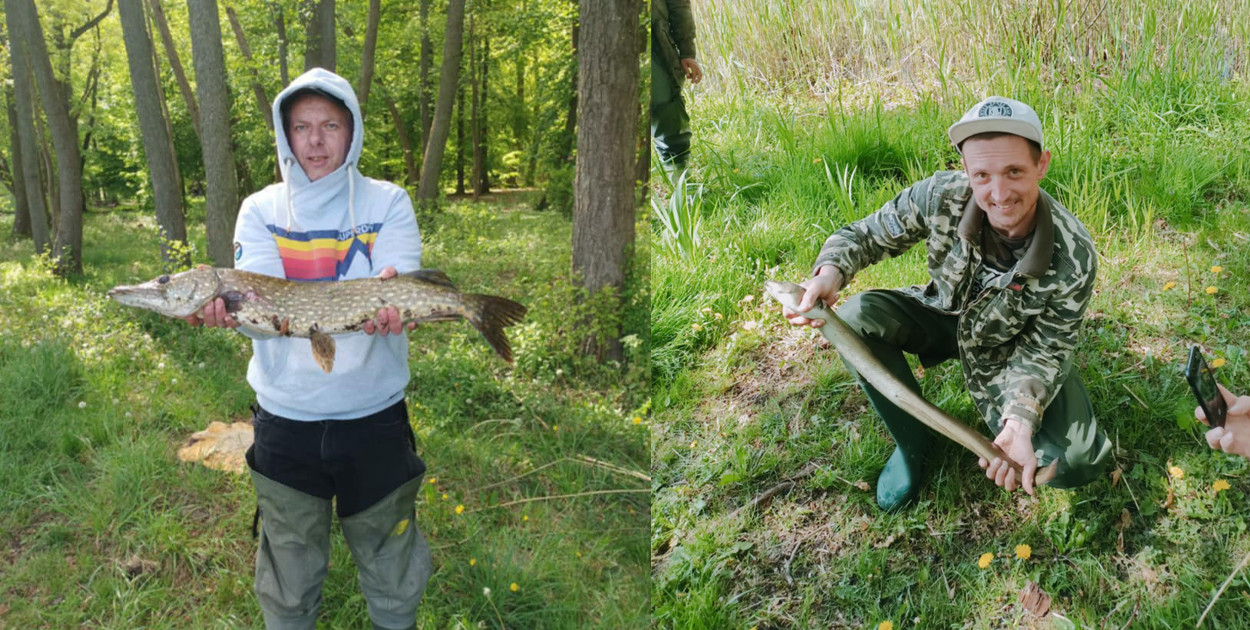 Wielkie ryby z Trzesiecka! Sezon dopiero ruszył, a już są imponujące efekty