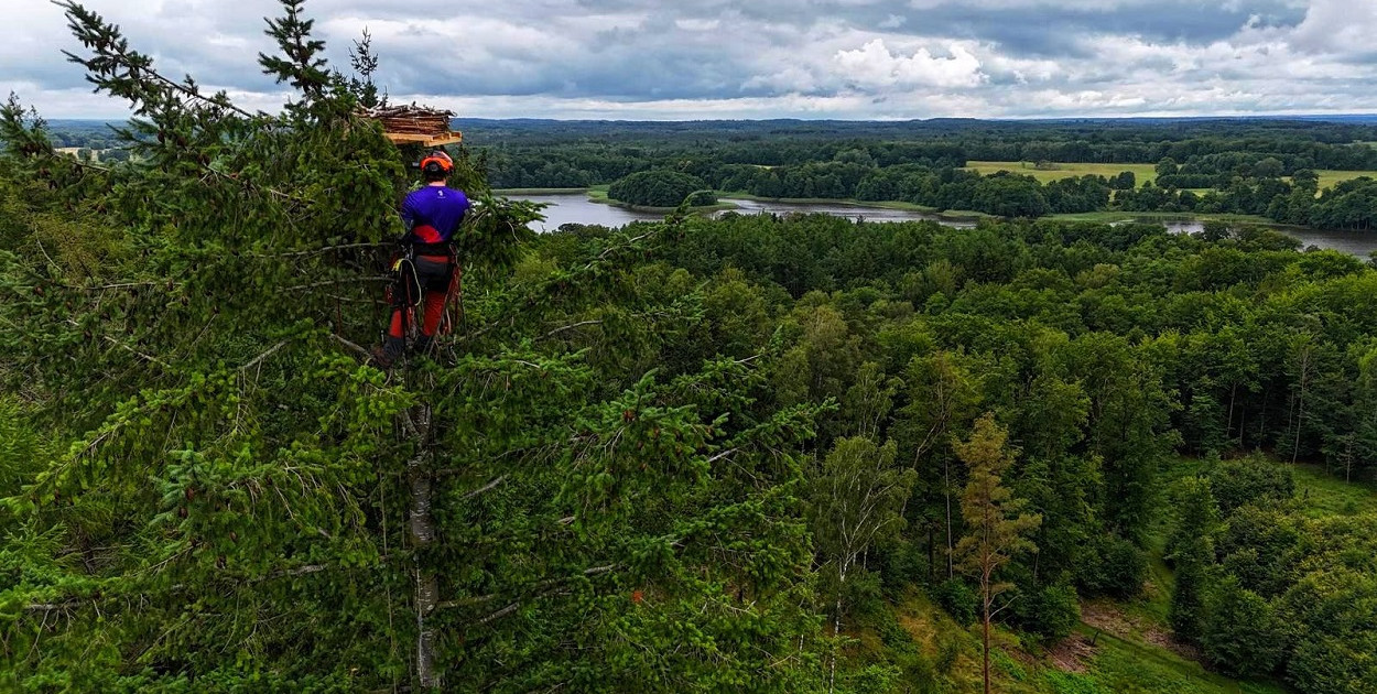 W Nadleśnictwie Szczecinek zawisła pierwsza sztuczna platforma dla rybołowów!