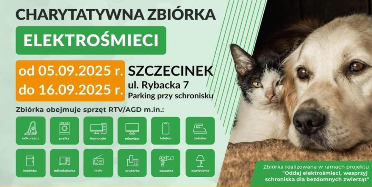 Schronisko dla zwierząt w Szczecinku