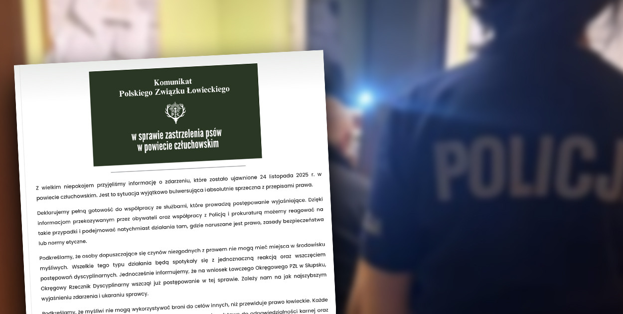 fot. archiwum / PZŁ reaguje 