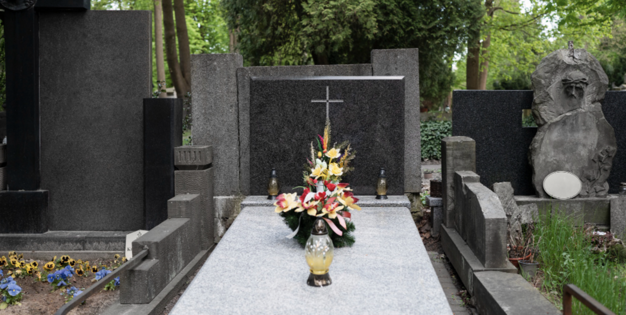 fot. freepik premium