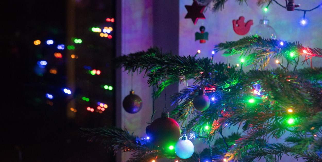 Choinka niejedno ma imię