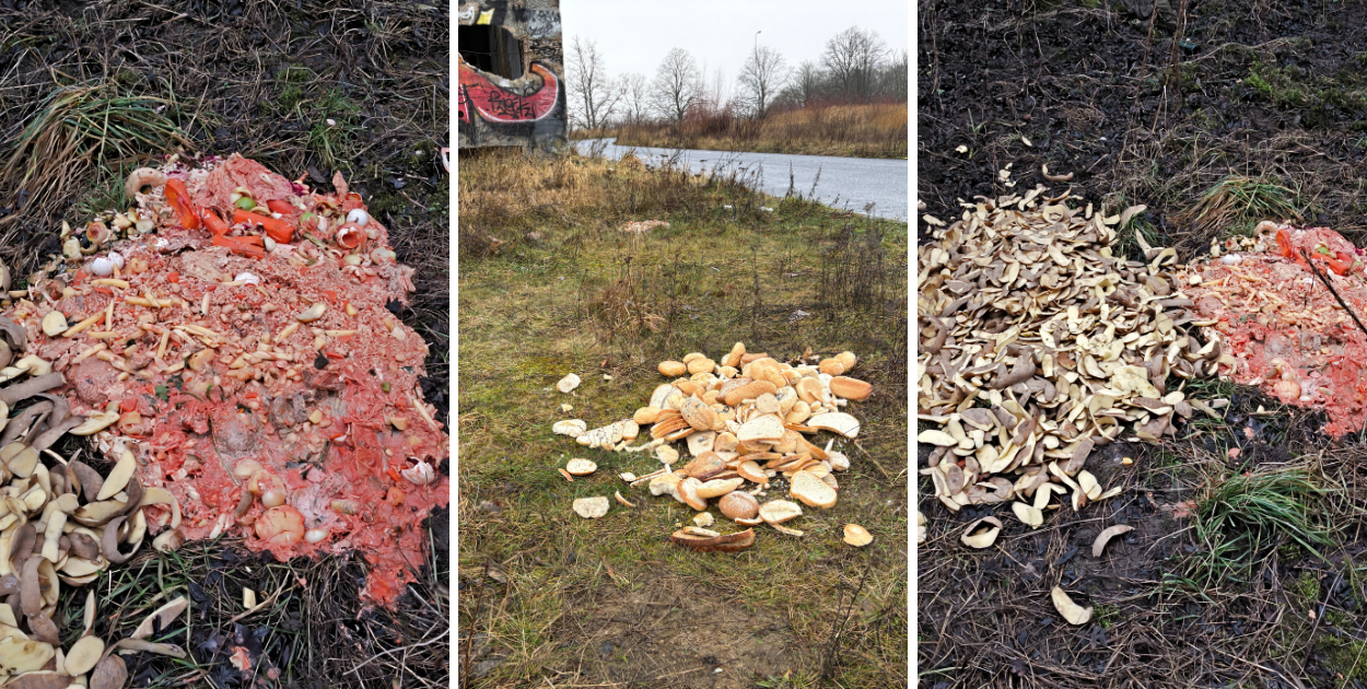 fot. Czytelnik / Dzieje się coś na Waszych oczach? Zróbcie zdjęcie lub wideo i prześlijcie do nas