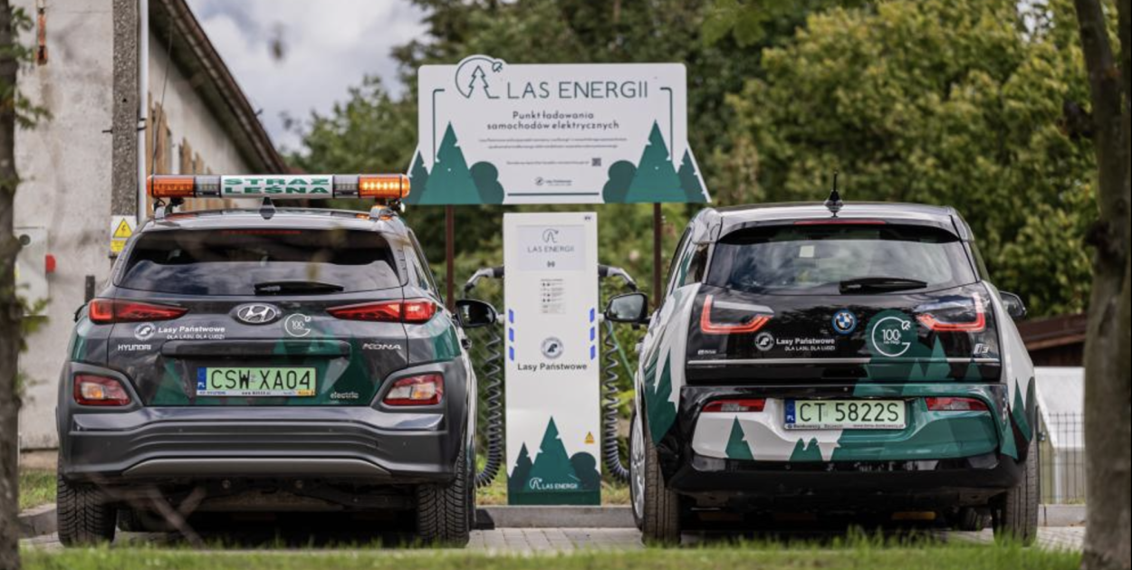 fot. Nadleśnictwo Szczecinek