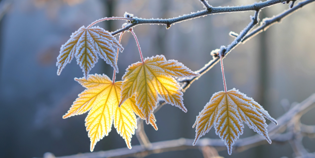 Silny mróz nad regionem. IMGW ostrzega mieszkańców Szczecinka