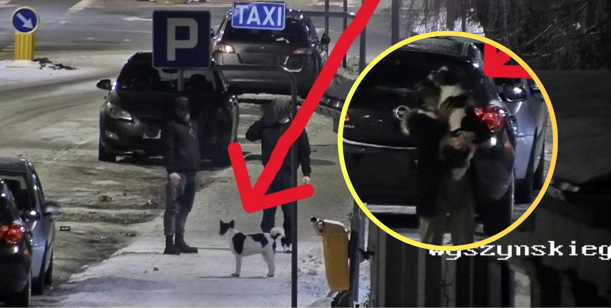 Kilka minut i po strachu. Pomógł miejski monitoring