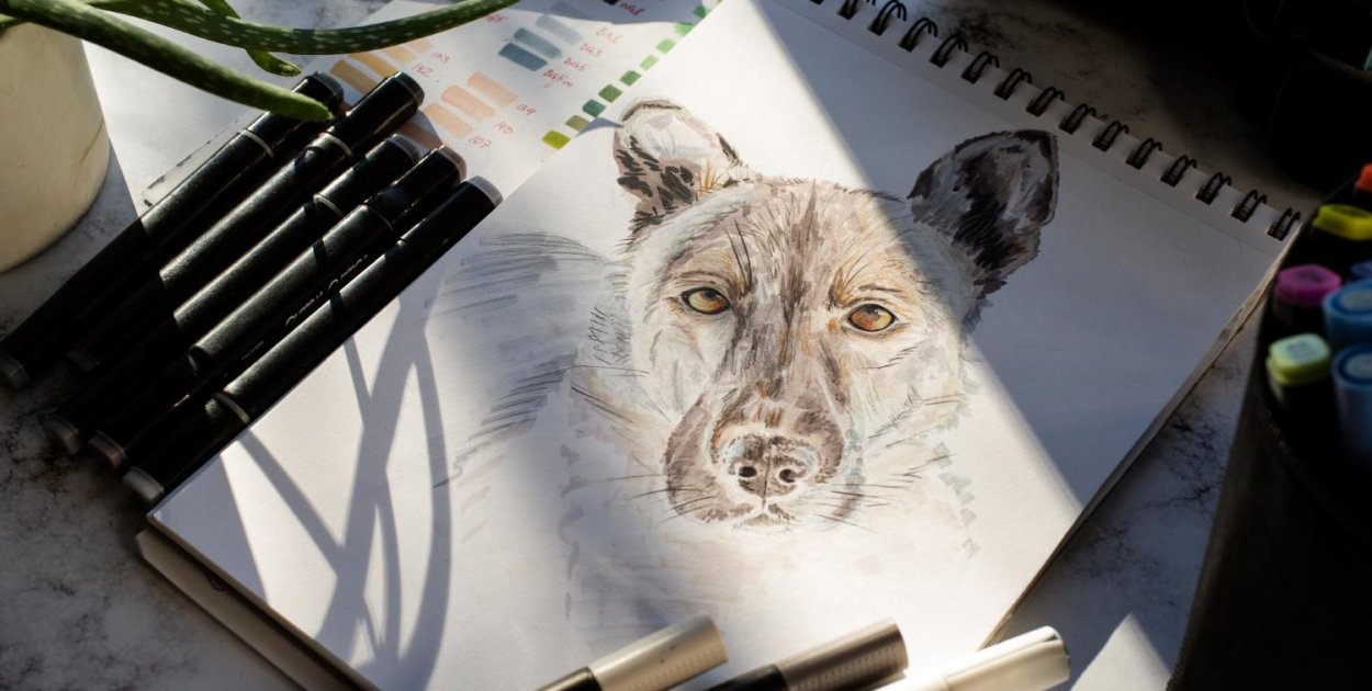 Dlaczego dobry szkicownik ma znaczenie? 6 rzeczy, które warto sprawdzić