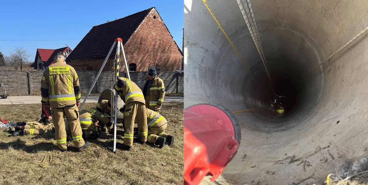 Nietypowa interwencja. Zwierzęta w pułapce pod ziemią