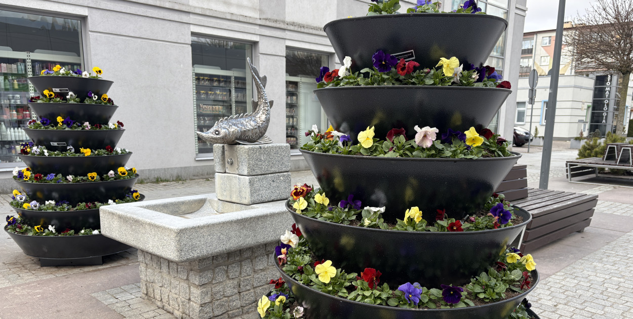 Coraz więcej kolorów w mieście. PGK ruszyło z nasadzeniami