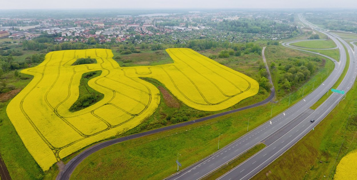 Jeden przetarg, miliony na stole. Ratusz liczy pieniądze